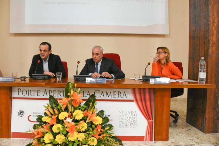 Trasporti, confronto tra 'addetti ai lavori' alla Camera di Commercio di Cosenza 51 Tavola Rotonda Le vie Per le imprese