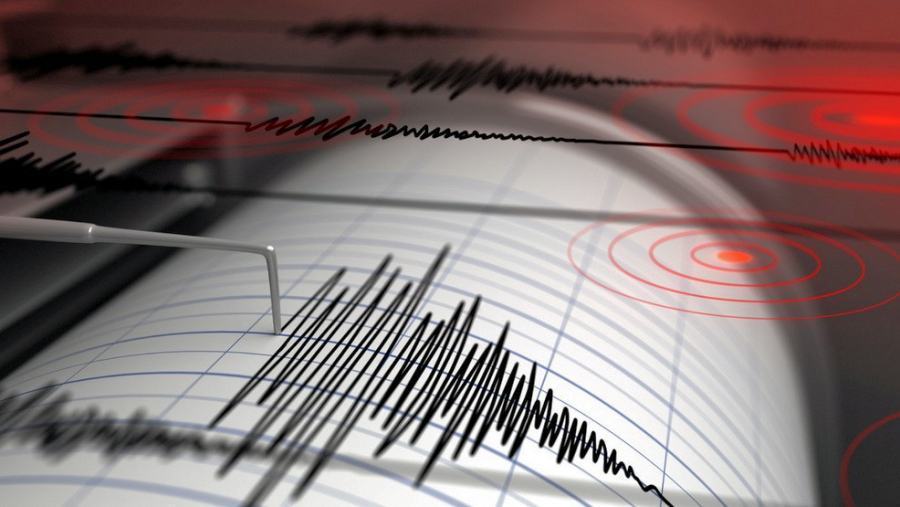 Terremoto grafico sismologi 4