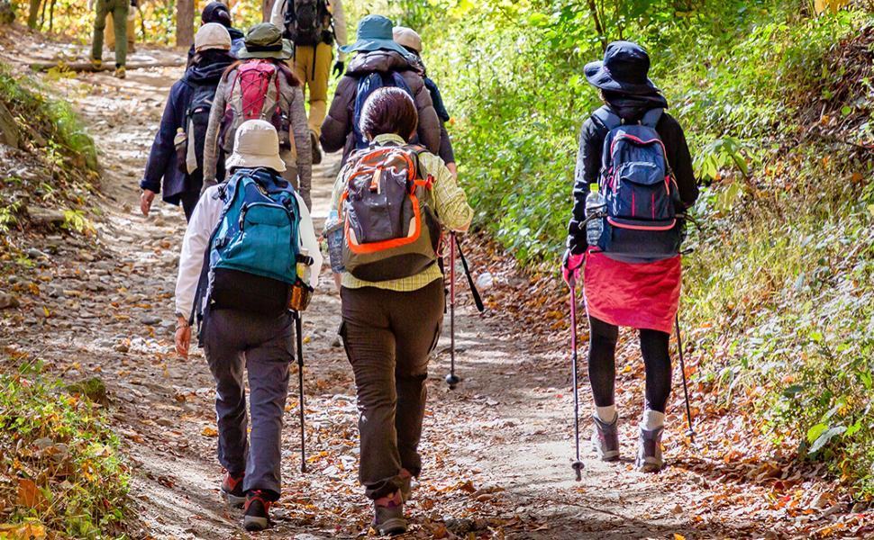 S. Giovanni in Fiore, fino al monte Cozzolillo per la XVIII giornata del trekking urbano 51 Trekking 2