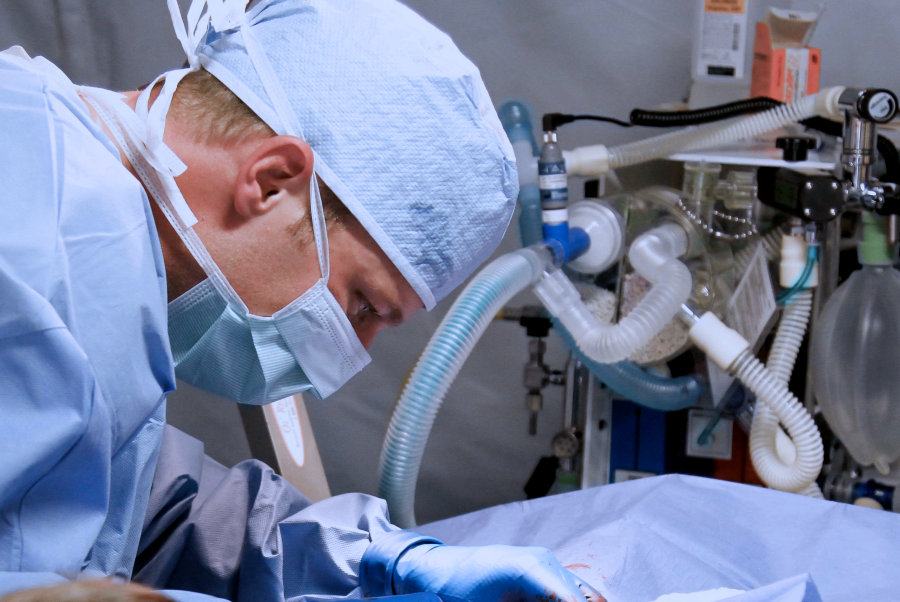 Tumori calabria organi