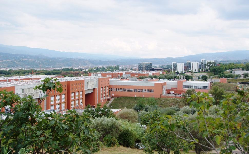 Covid, "dati preoccupanti". Gli atenei calabresi prorogano la dad 51 UNICAL 1 19