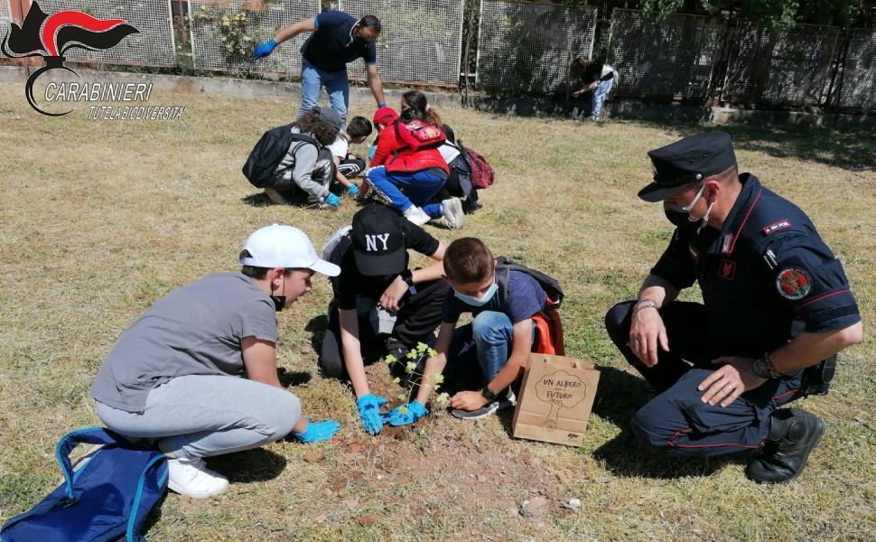 "Un Albero per il Futuro", a Castrovillari il progetto nazionale di educazione ambientale 51 Un albero per il futuro castrovillari 01