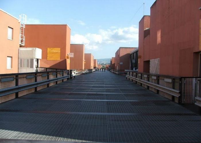 L'Università della Calabria conferma il suo prestigio a livello internazionale 200 Unical