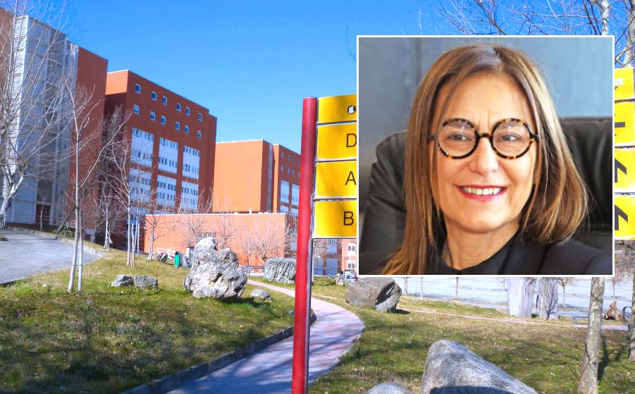 Unical Enza bruno Bossio