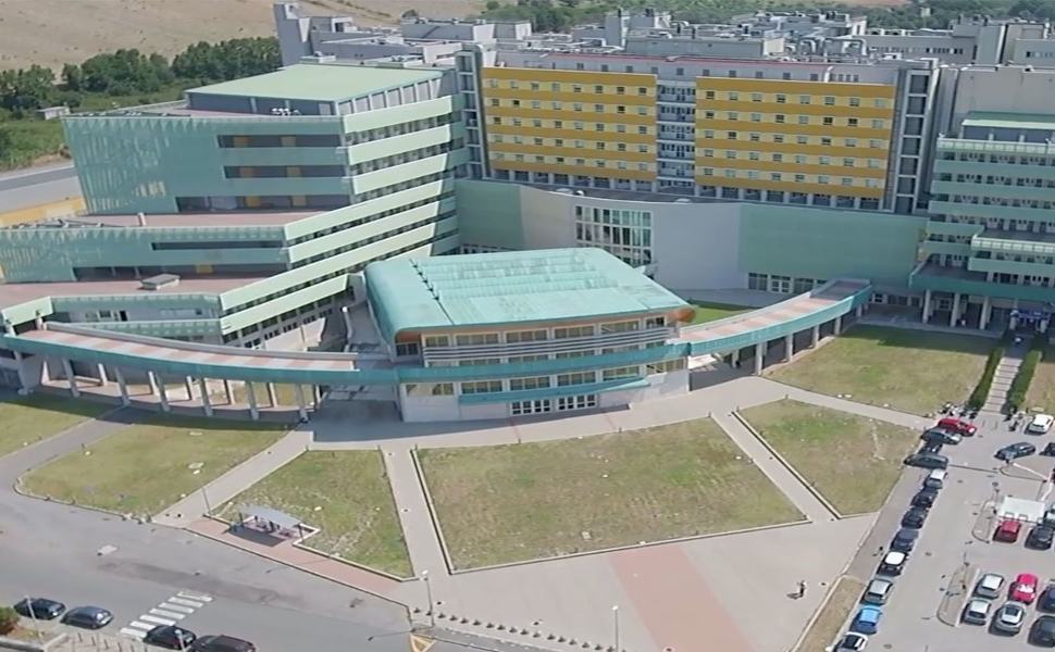 Molestie sessuali in ateneo, Magna Grecia: "misure più efficaci e sinergia con i Pm" 51 Universita catanzaro 1 1