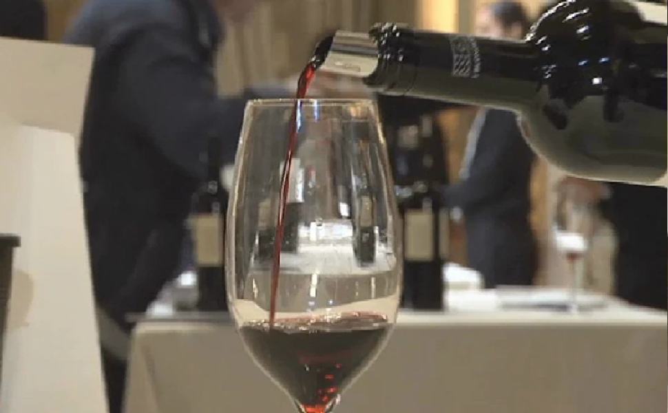 VINO 4