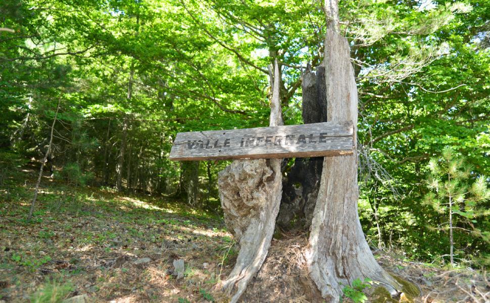 Le meravigliose faggete "Valle Infernale" e "Sfilzi" patrimonio dell'Umanità 3 Valle Infernale faggeta