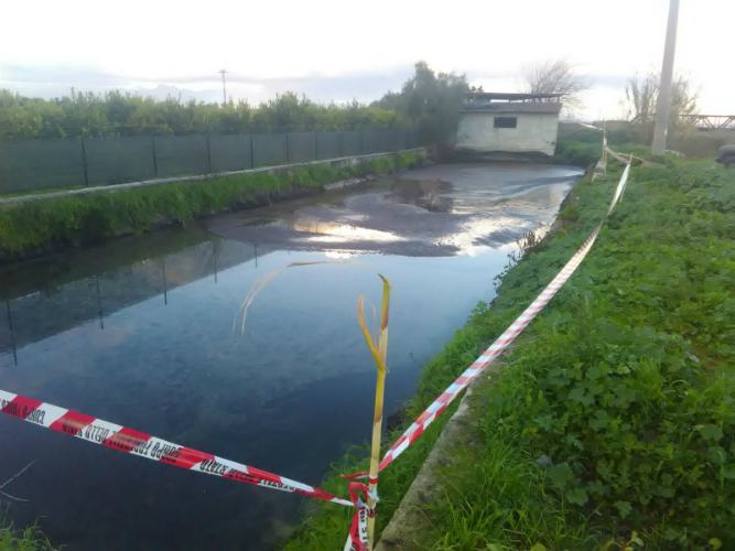 Sequestrata vasca abusiva di rifiuti illeciti, provenienti da un frantoio nel Cosentino 53 Vasca sequestrata