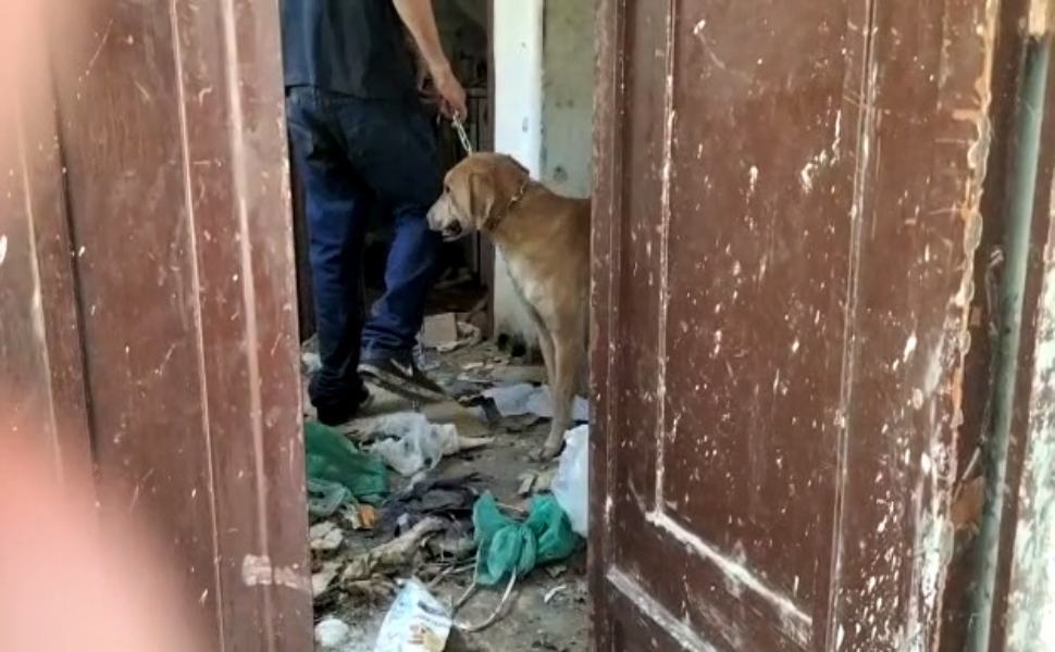 Via Cerasaro Rossano casa discarica 05 1