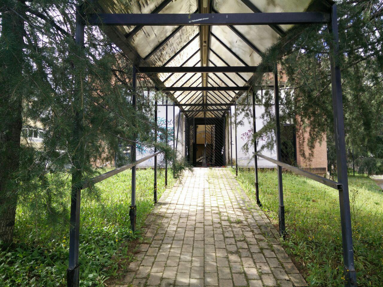 Viale dei giardini 2018 1