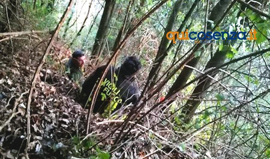 Precipita in un burrone per salvare il suo cucciolo di cane. Salvati dai vigili del fuoco 53 Vigili Del Fuoco 27