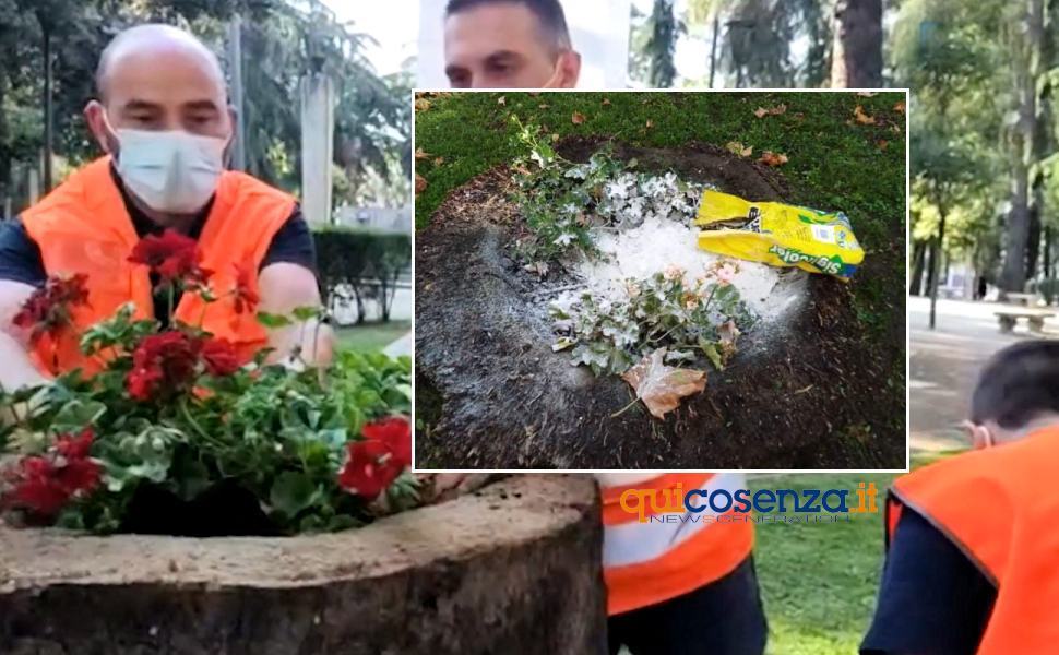 Villa Nuova abbandonata e senza pace. Vandali svuotano un sacco di calce sui fiori 51 Villa nuova vandali ok