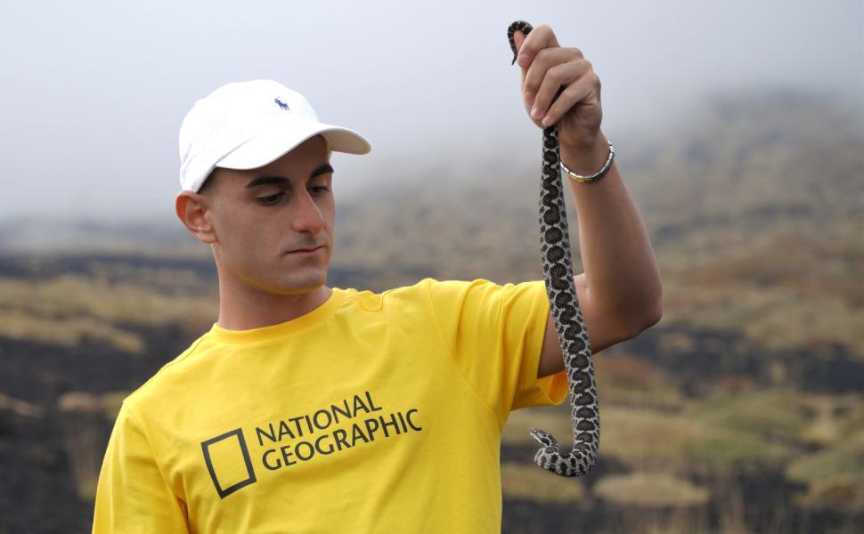 Vipera aspis hugyi 01