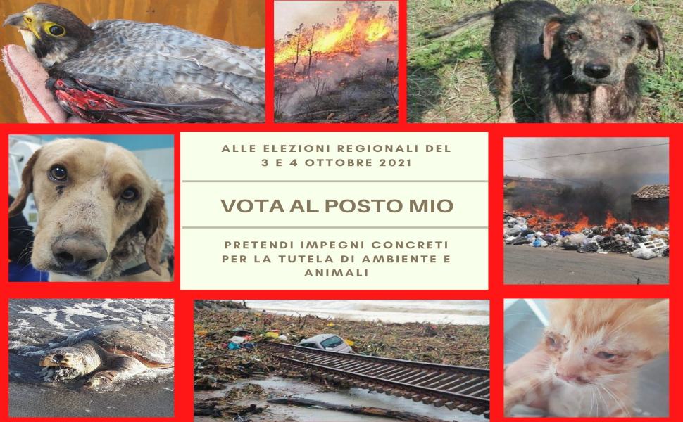 Regionali: associazioni ambientaliste e animaliste lanciano #VotaAlPostoMio 51 Vota al posto mio Regionali