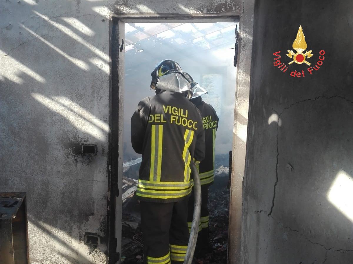 WhatsApp Image 2018 12 28 at 12.59.10