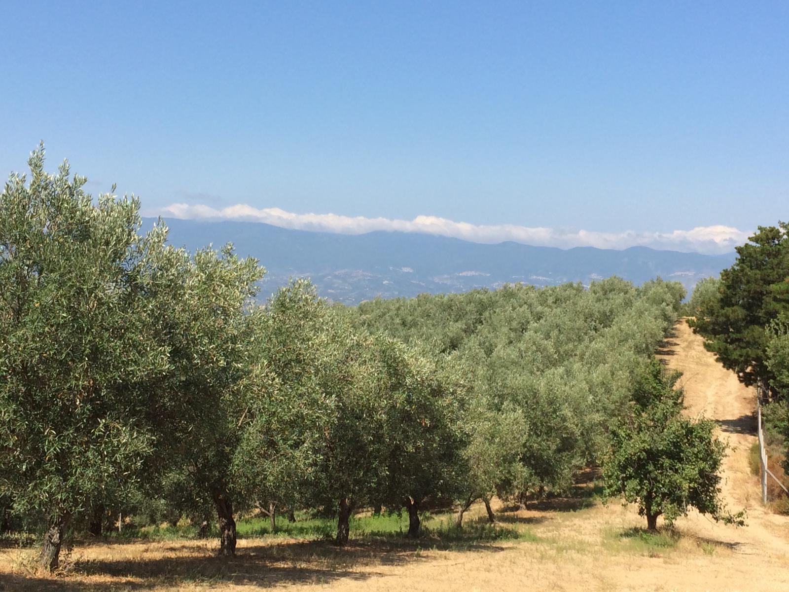 WhatsApp Image 2019 07 31 at 14.21.06