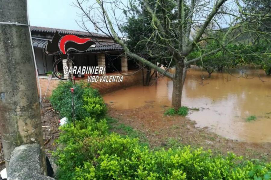 WhatsApp Image 2019 11 25 at 17