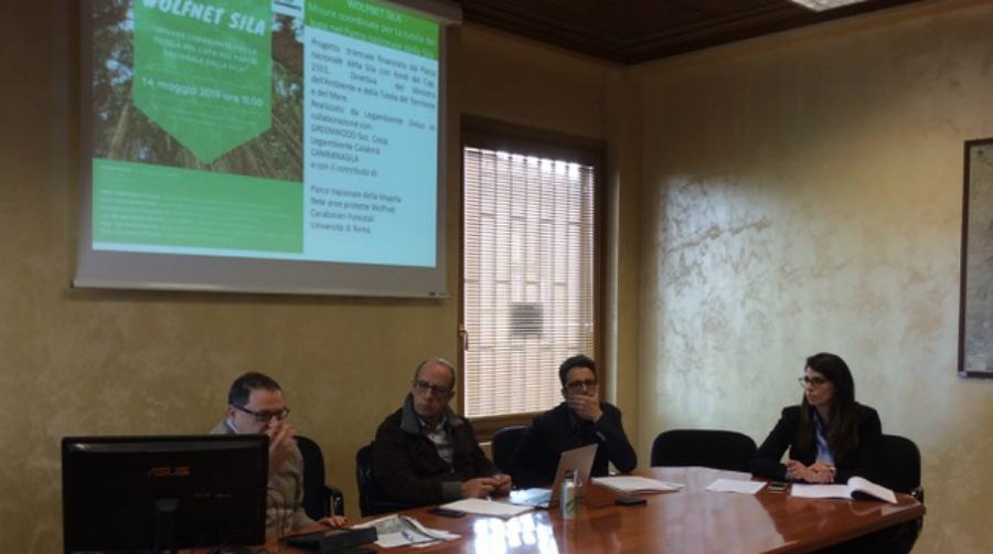 Wolfnet Sila Lupo 03