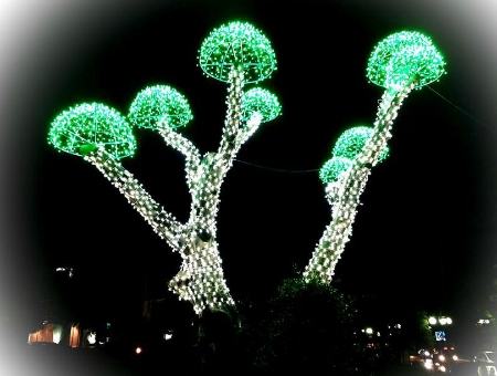 a002cee5c3fc0064bfa6b7e232e3405f