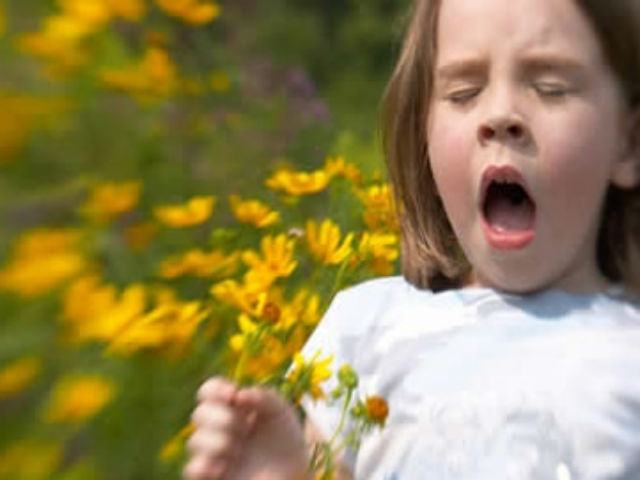 a06bd1f2ca48cf3711ddeab060769b18