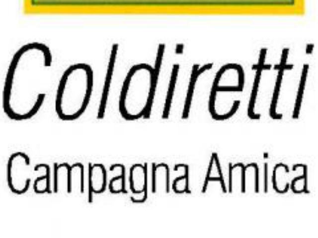 a2026f89d280329c069891e204646a61