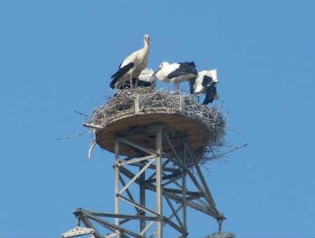 a2113b823f710442b8278c18feca05d5