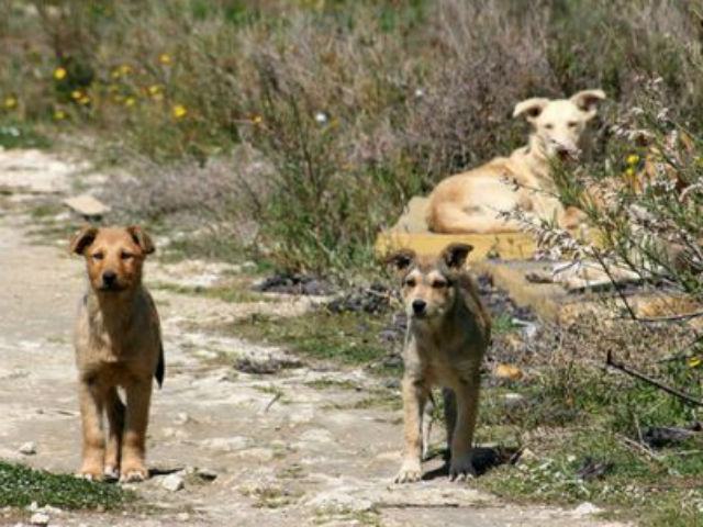 a25d48cd0344ce80ec020f106f702a3d