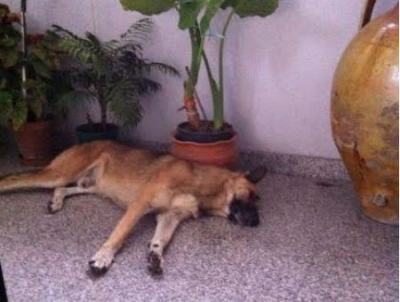 a2c667c20d016bdb1ac454635c58d014