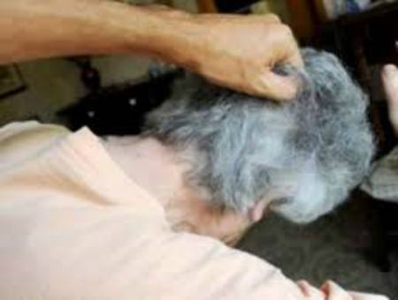 a3d5068a5c0f6e935473d44b850e16b0