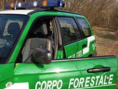 a54c05e75d2ed6c2222655765fd5a865