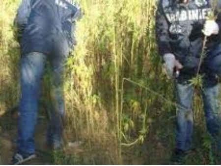 a62a59838260700519e75598cd119c38