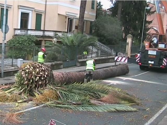 a7d37aa12173f288eb3ccb7ba82b4c39