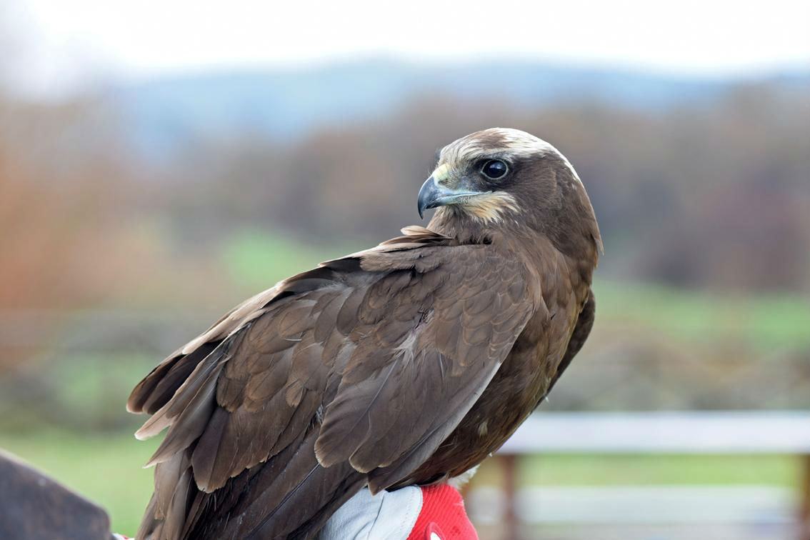 a8aa66e1625a58577f1a0d2664e88665