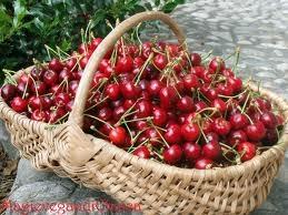 a8c79a79dcb8732258e5766d7e7da44d