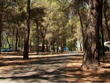 a9ec91ebe0b7c08f3eb69d7d68695815