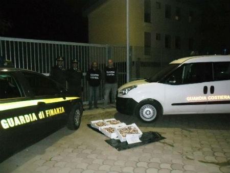 a9ff9796b970bc91a123a2a78e84bacb