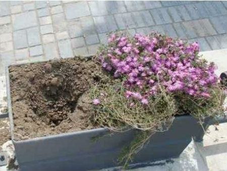 aa532a1c030a79407ea5e1422b498be7