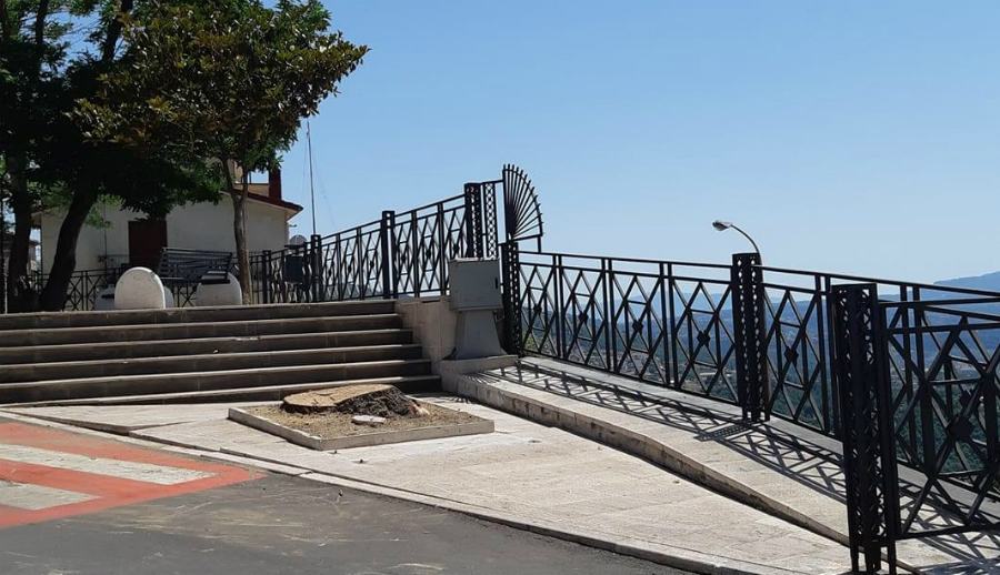 abete abbattuto a Serra Pedace