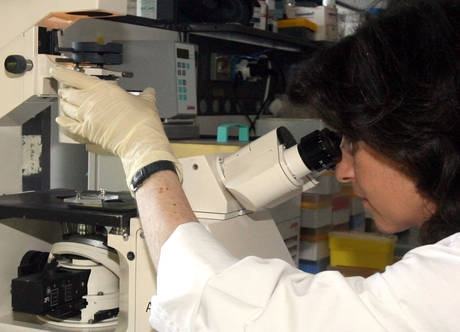 abfced2d0aba305ae784099960461550