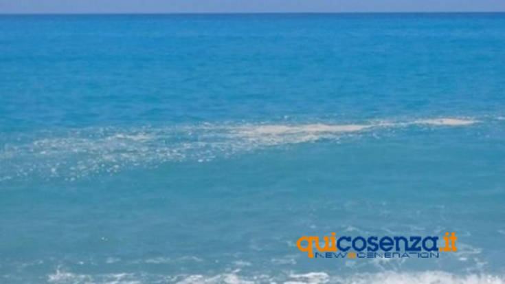 acqua torremezzo oggi