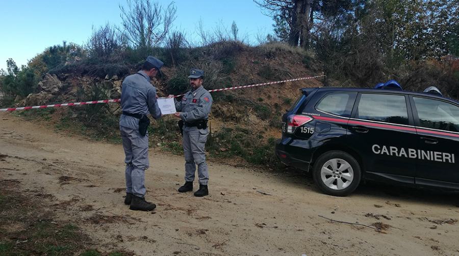 acri strada carabinieri forestali 01