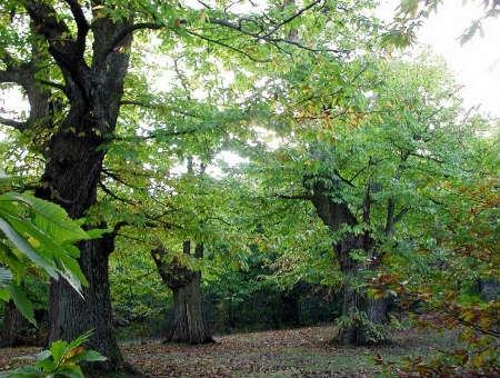 ad01508c1bb52e0316184b56eb11666e