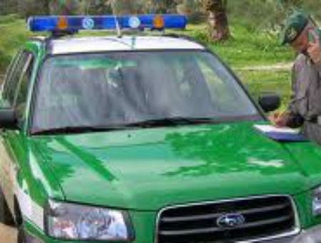 ad77718c0fa14df5e04e571718086daf