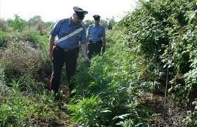 ad8c64953583150866780798d2917d49