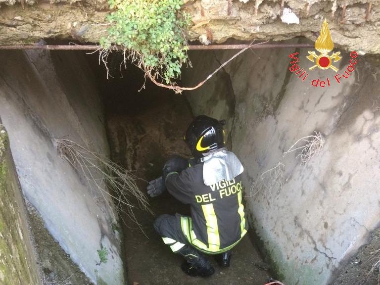 ae0e66cd a93e 469c b1a8 3a2d3f3c2dd6