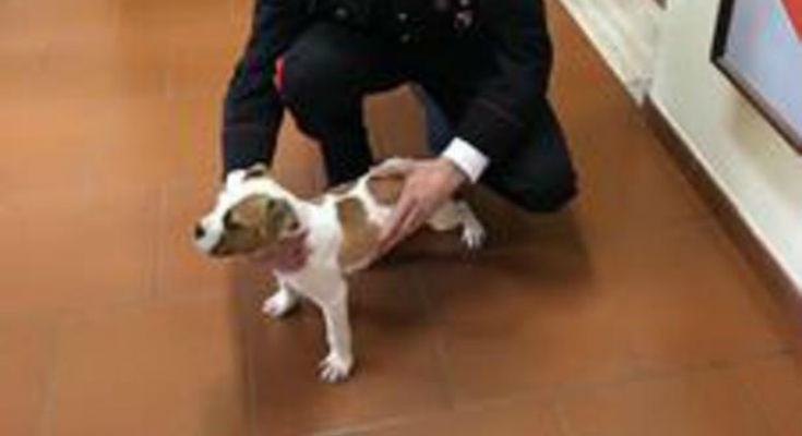 aede013cf2540ec8dd49ad8feb85ae8f