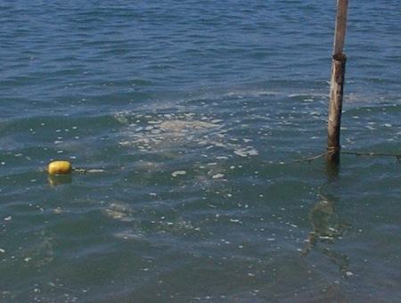 aee173df98a5b74ebe361beb2b054505