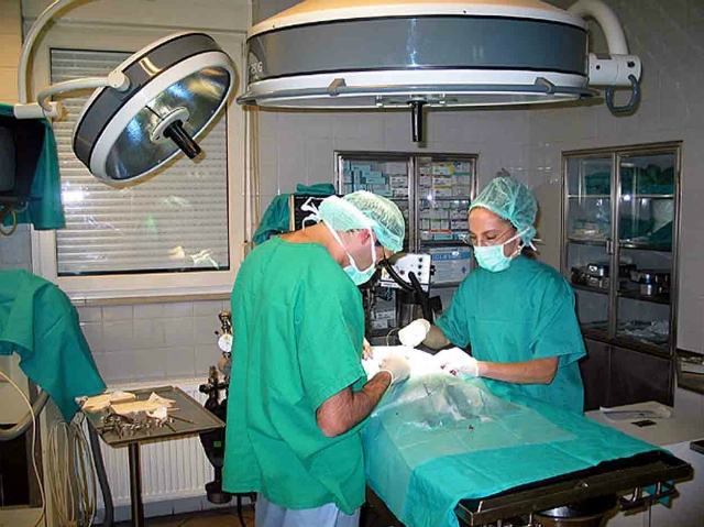 af06806ddd1231b8086cf9d0c7570813