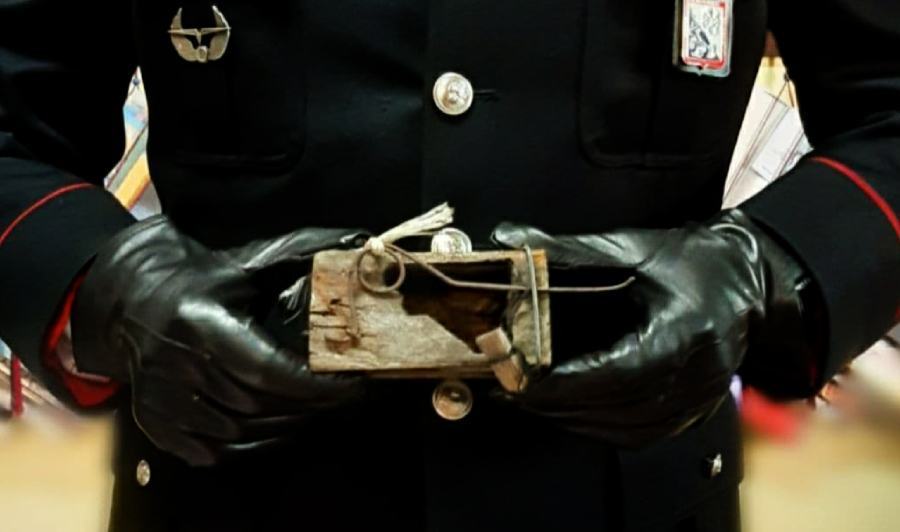 agricoltore ghiri taurianova denuncia