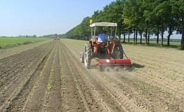 agricoltura